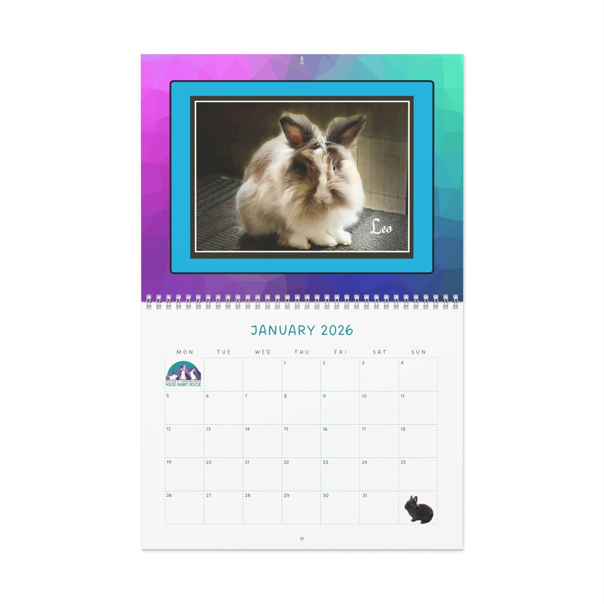 Real Bunnies 2026 Wall Calendar: Photos of Rescue Bunnies in their environment.