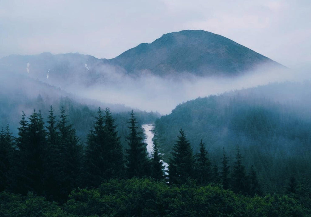 Making it Through a Difficult Time