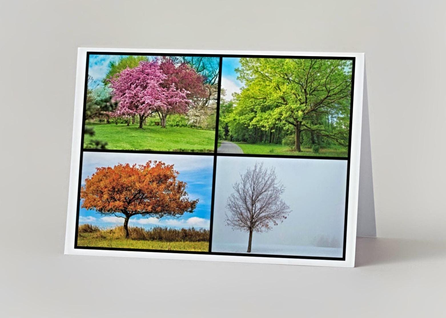 Through the Seasons Anniversary card