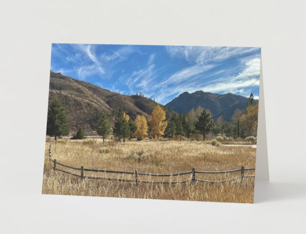 I will walk with you through darkness as you remember your light.