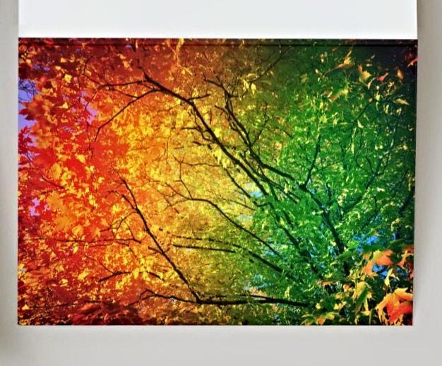 Seasons anniversary card