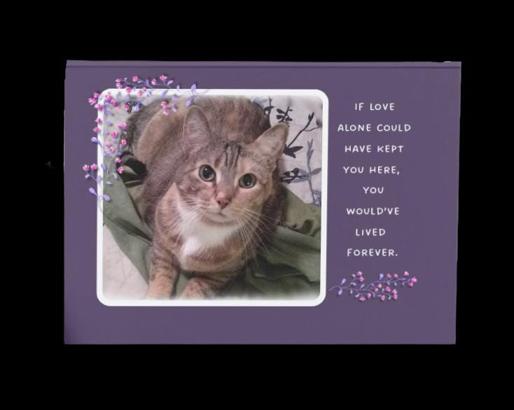 If love alone could have kept you alive - loss of cat sympathy card