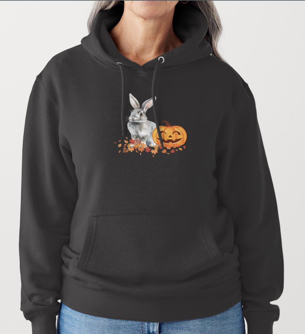 Mama Pumpkin Bunny and Baby Hoodie