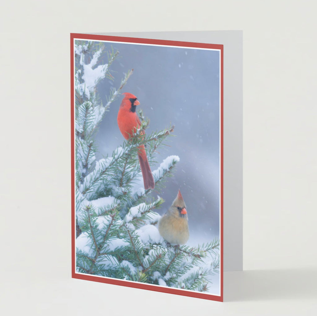 Take time for the quiet at Christmas time