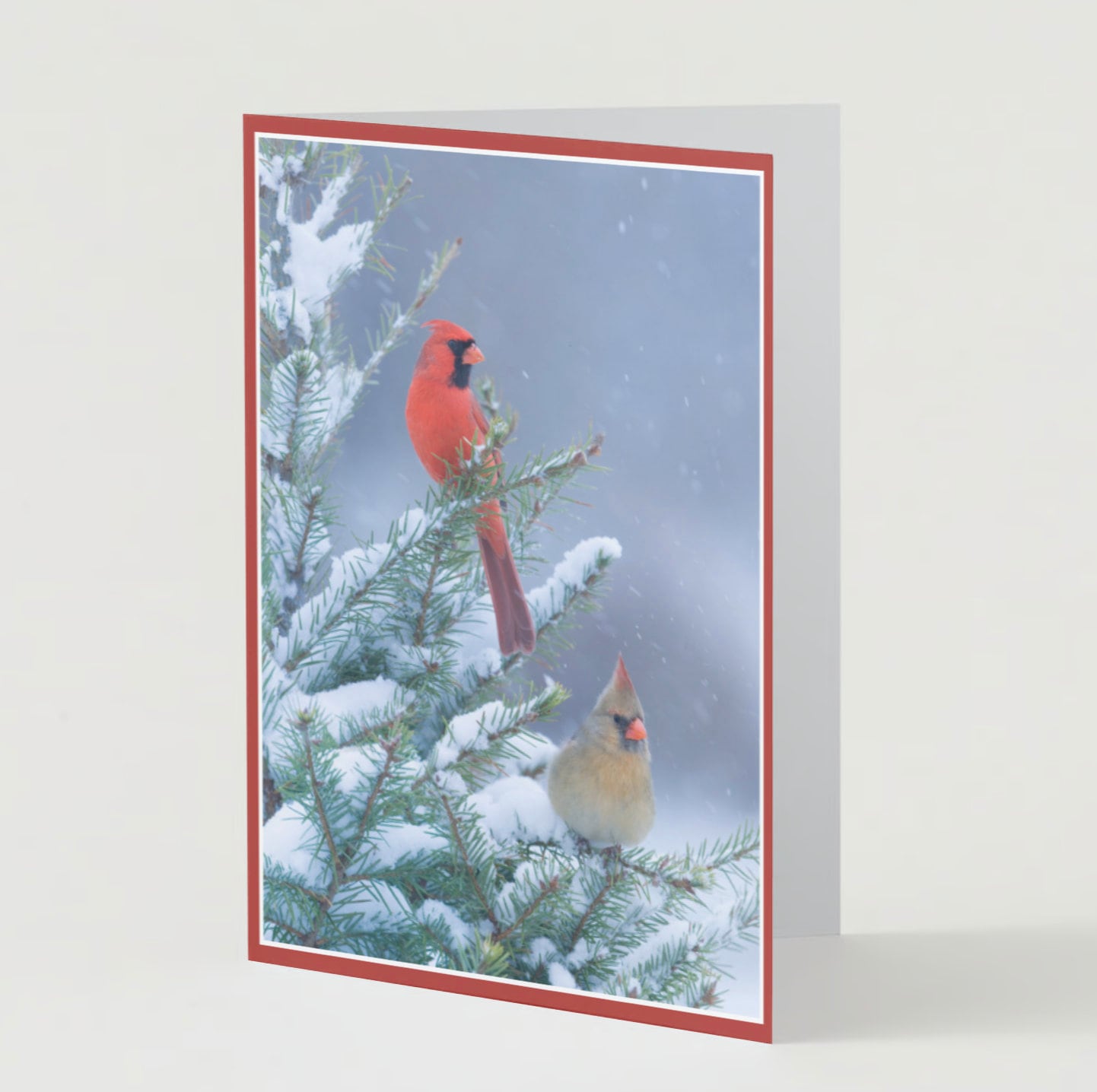 Take time for the quiet at Christmas time