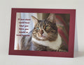 PERSONALIZE PET LOSS If Love Alone Could Have Kept You Here - Grieving the loss of a special pet