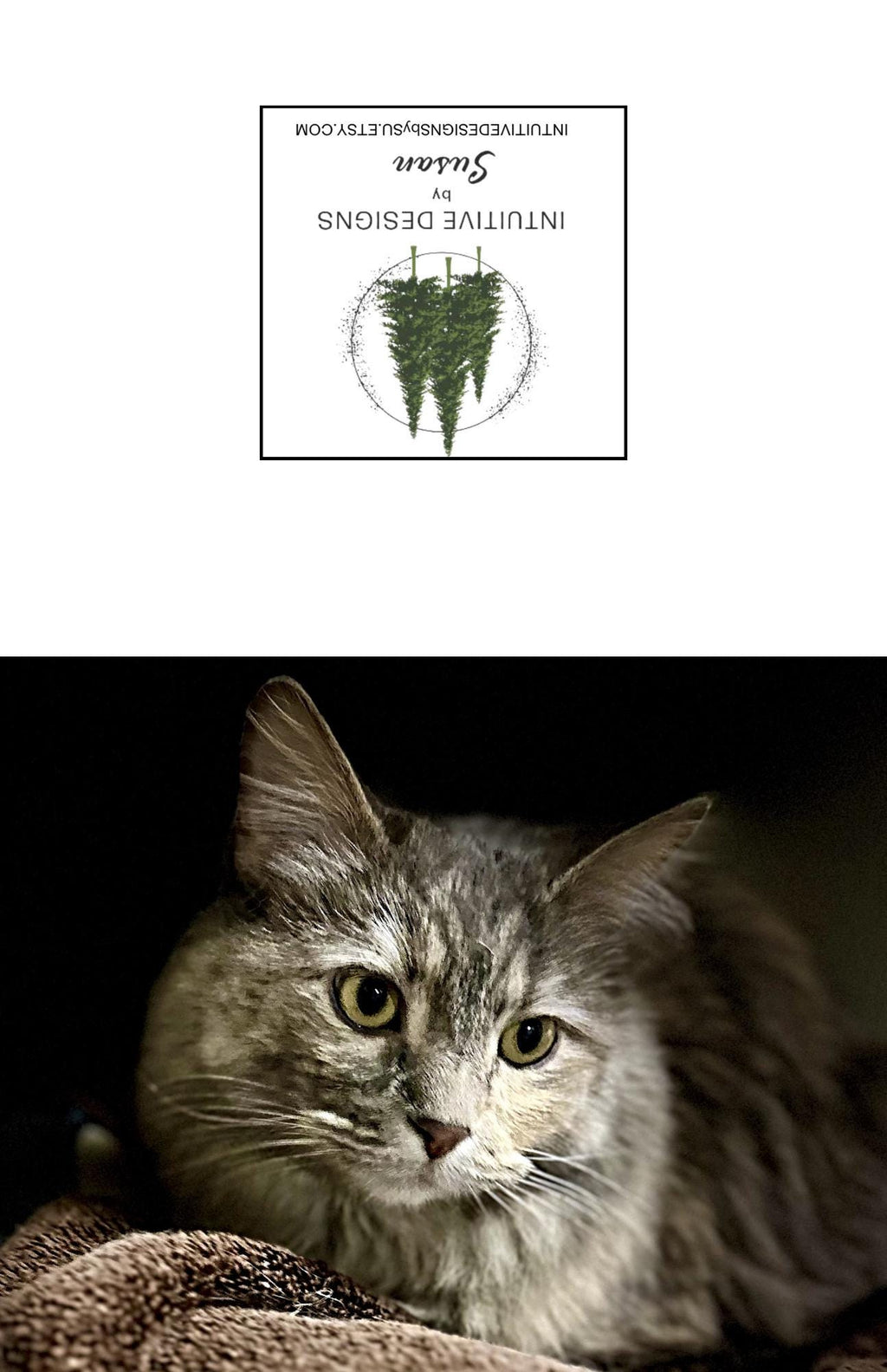 Hannah the Cat Notecards: Mischief Variety Pack