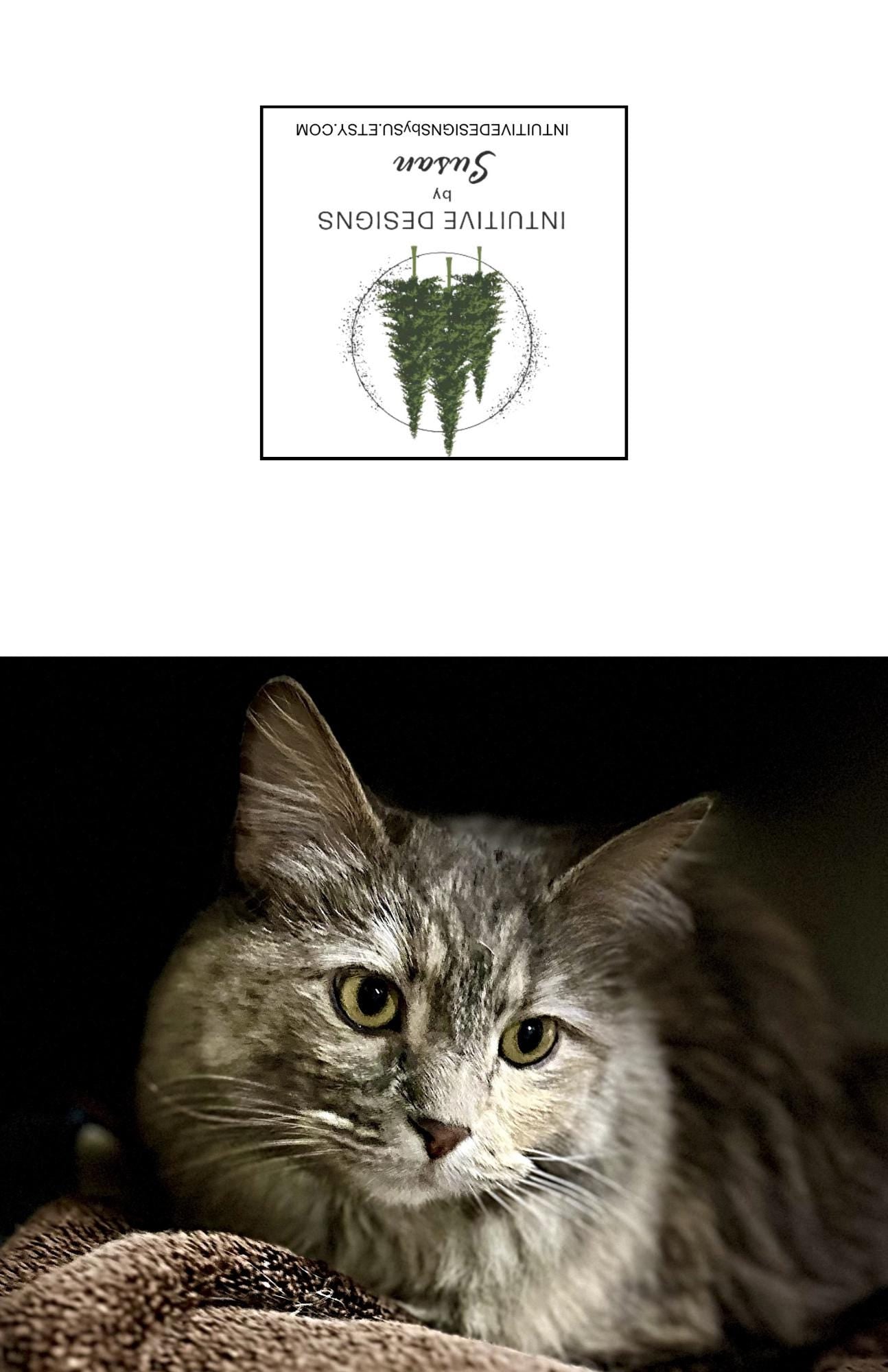 Hannah the Cat Notecards: Mischief Variety Pack