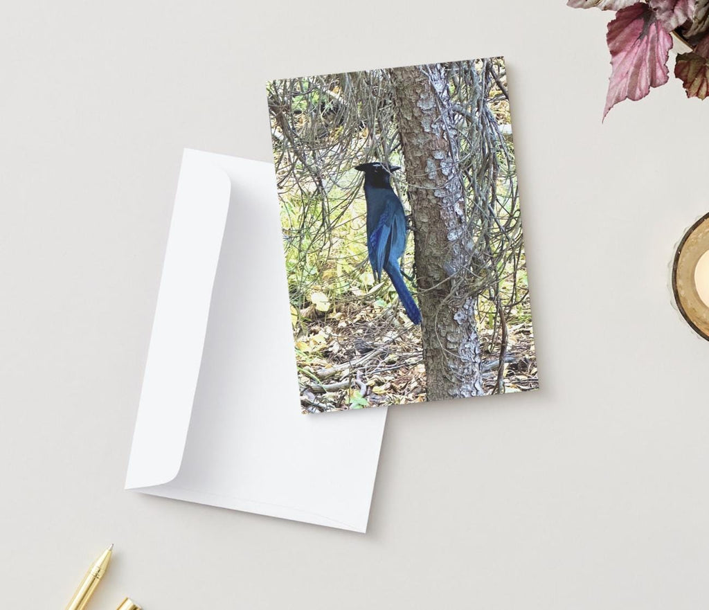 Rocky Mountain Blue Bird notecards