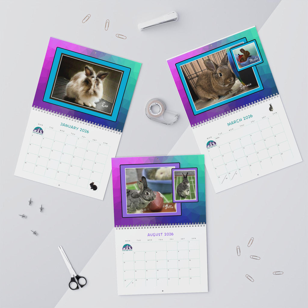 Real Bunnies 2026 Wall Calendar: Photos of Rescue Bunnies in their environment.