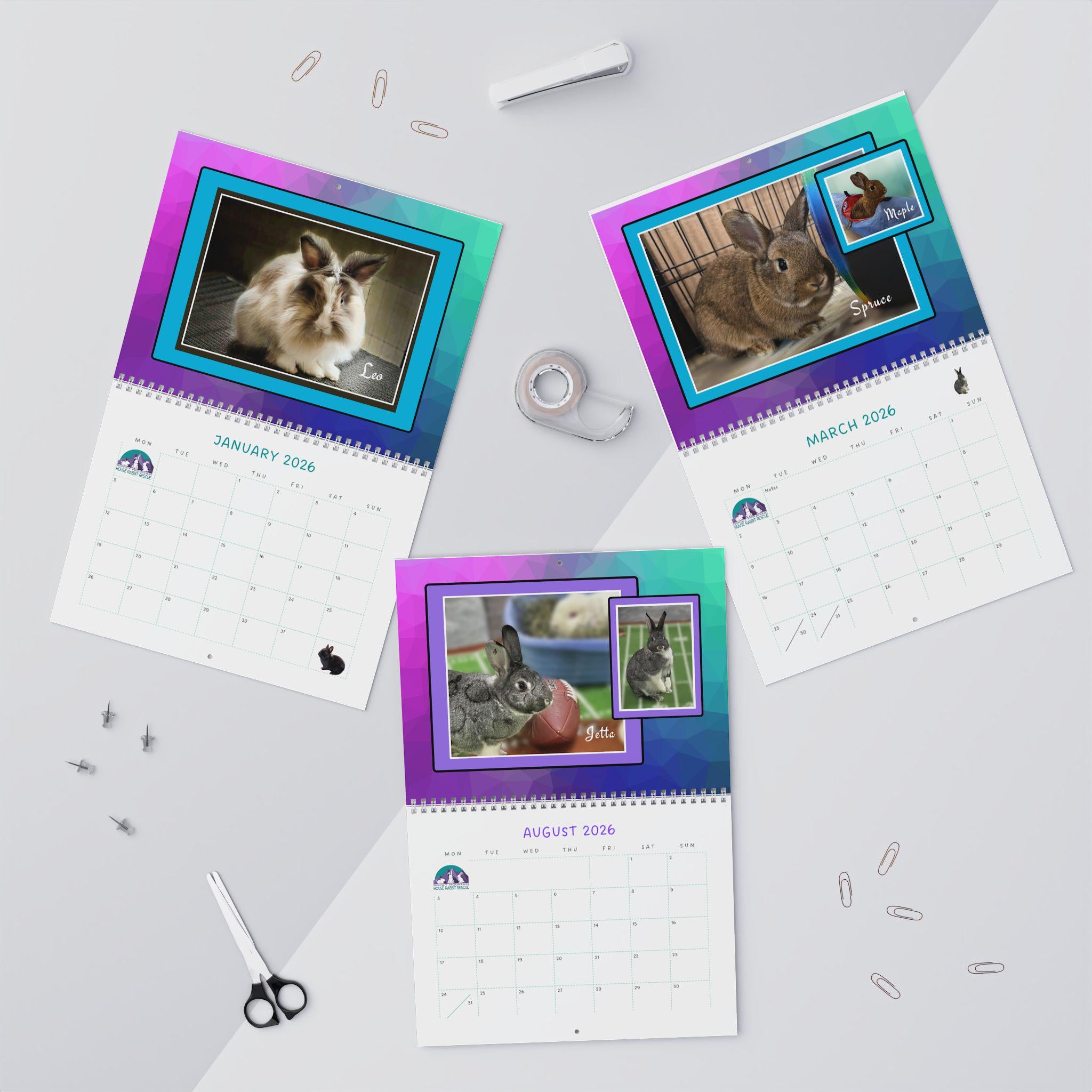 Real Bunnies 2026 Wall Calendar: Photos of Rescue Bunnies in their environment.