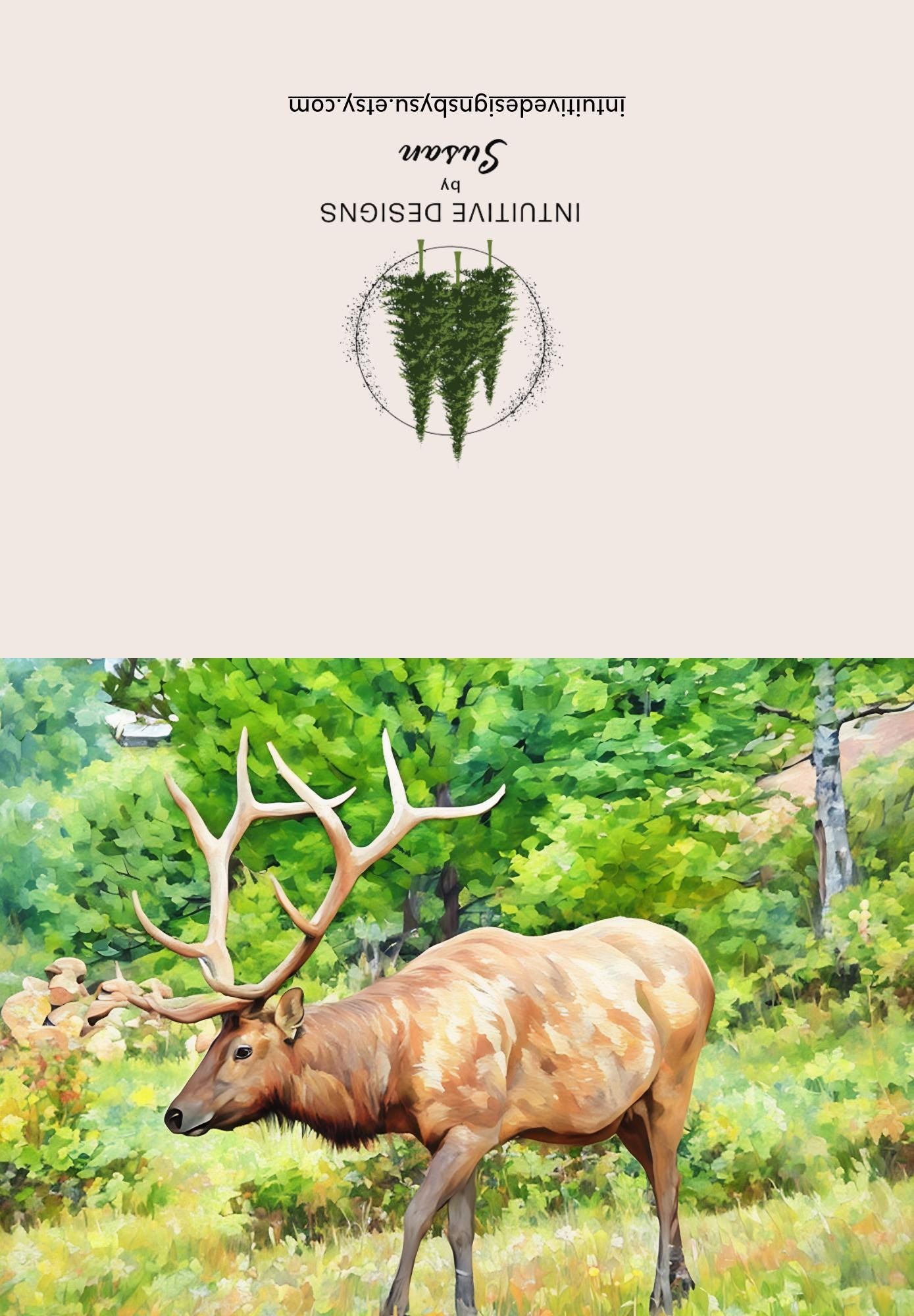 Estes Park Bull Elk note cards