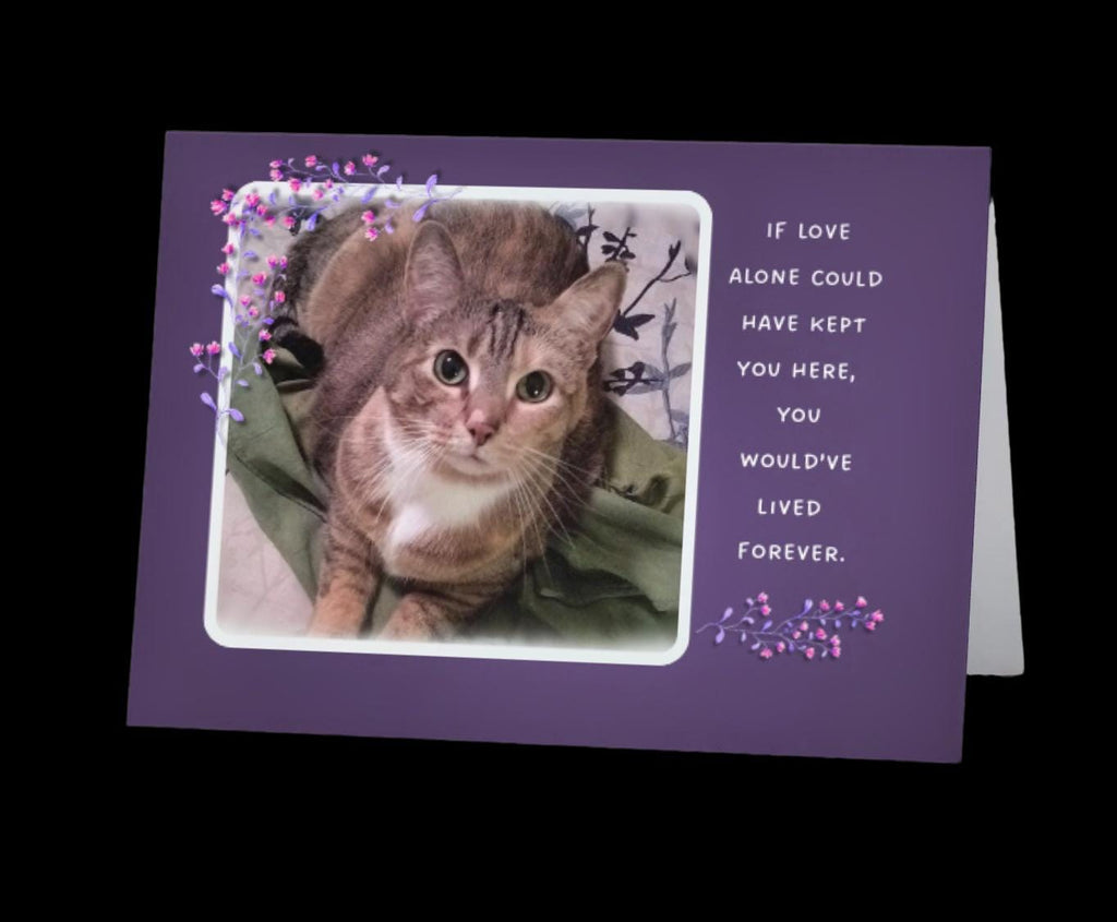 If love alone could have kept you alive - loss of cat sympathy card