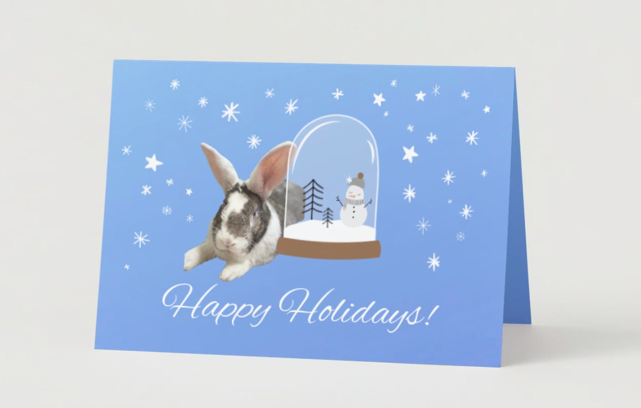 Snow Globe Bunny