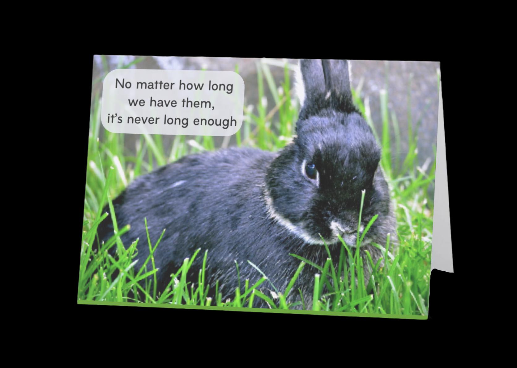 PERSONALIZE** Loss of loved bunny