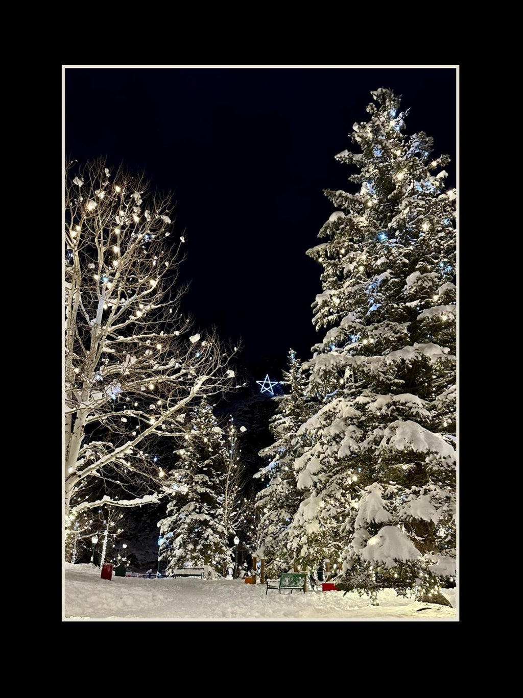 Estes Park, Colorado Winter scene notecards