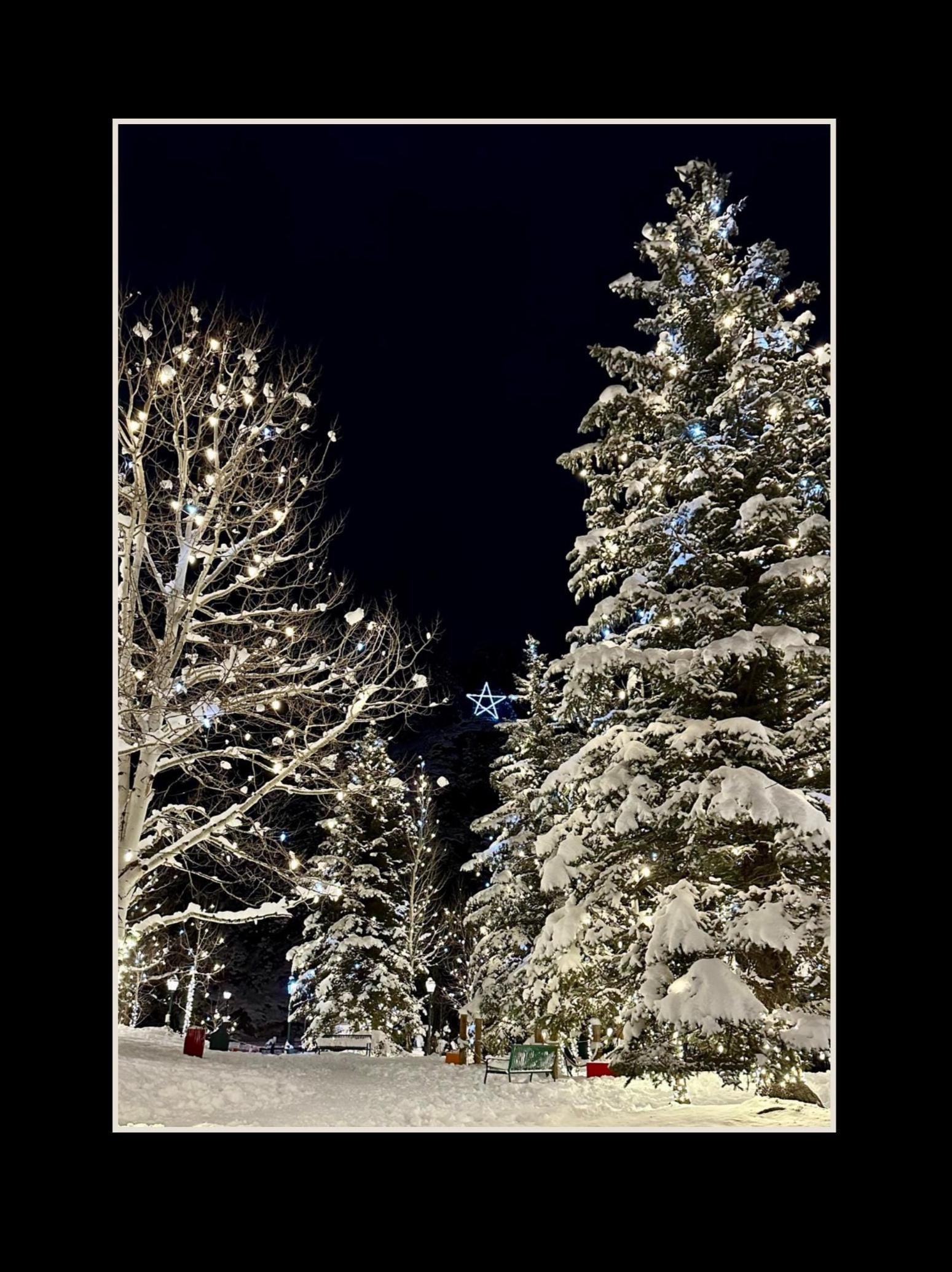 Estes Park, Colorado Winter scene notecards