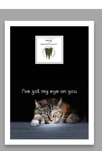 I've got my eyes on you birthday card