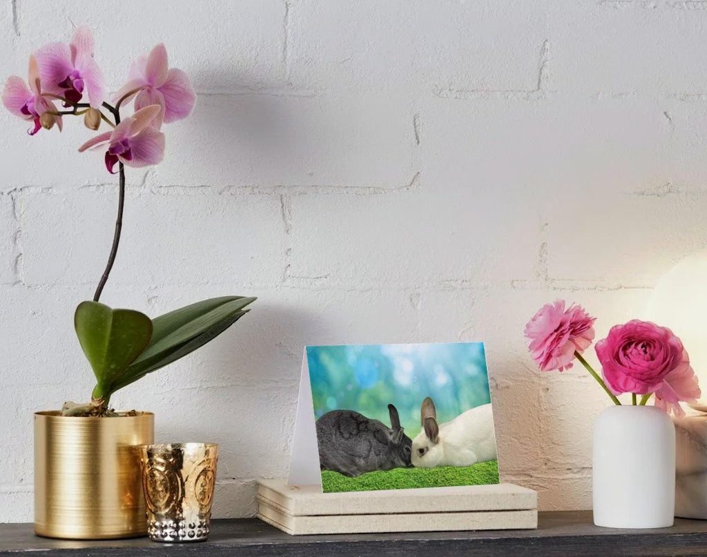 Rescue bunnies in the grass