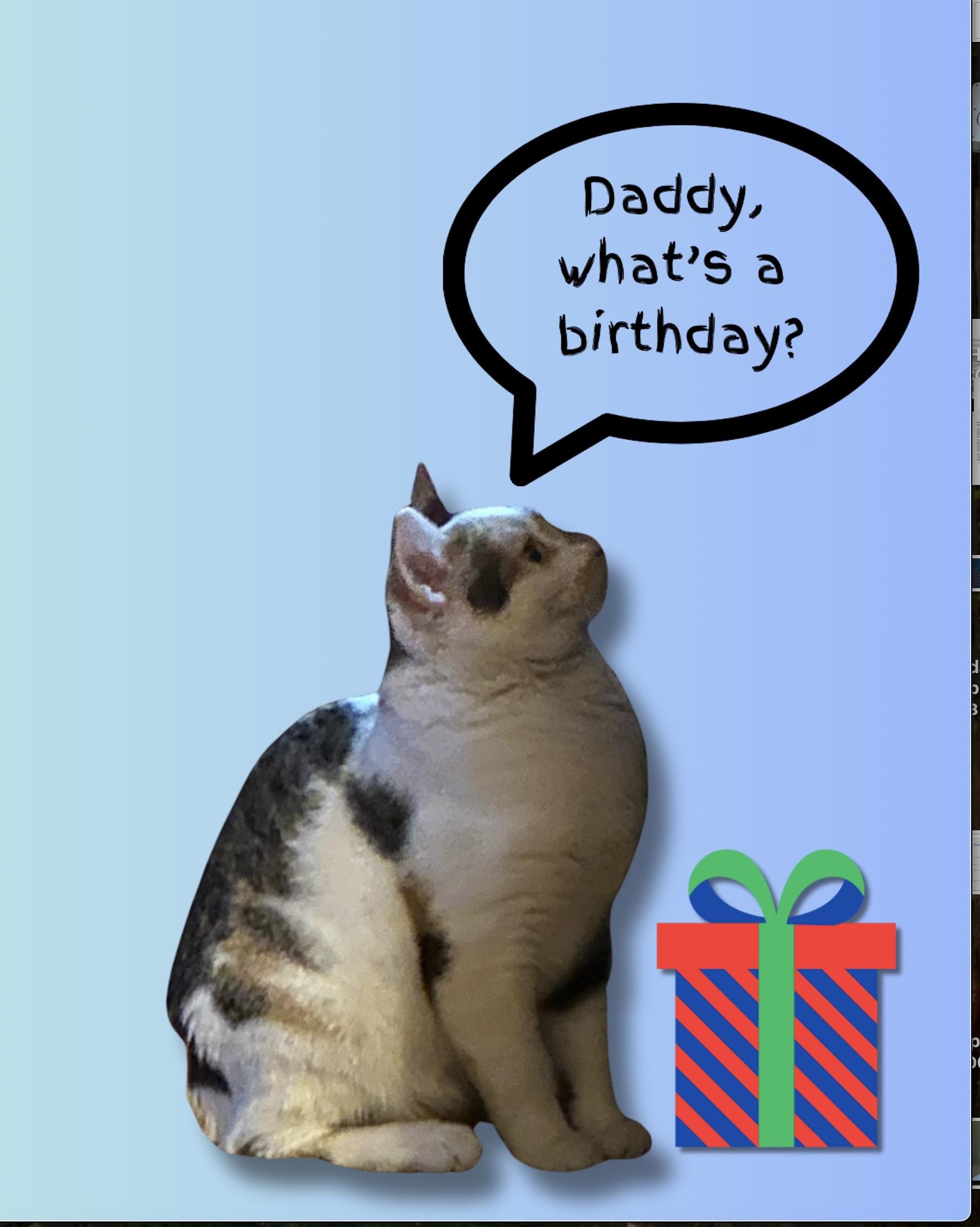 Cat Lover's Birthday