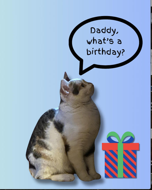 Cat Lover's Birthday