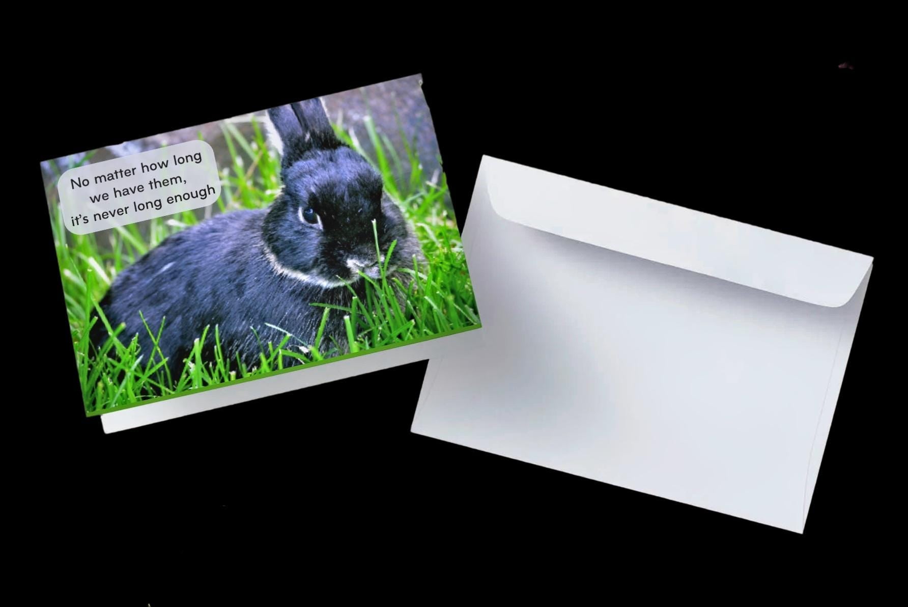 PERSONALIZE** Loss of loved bunny