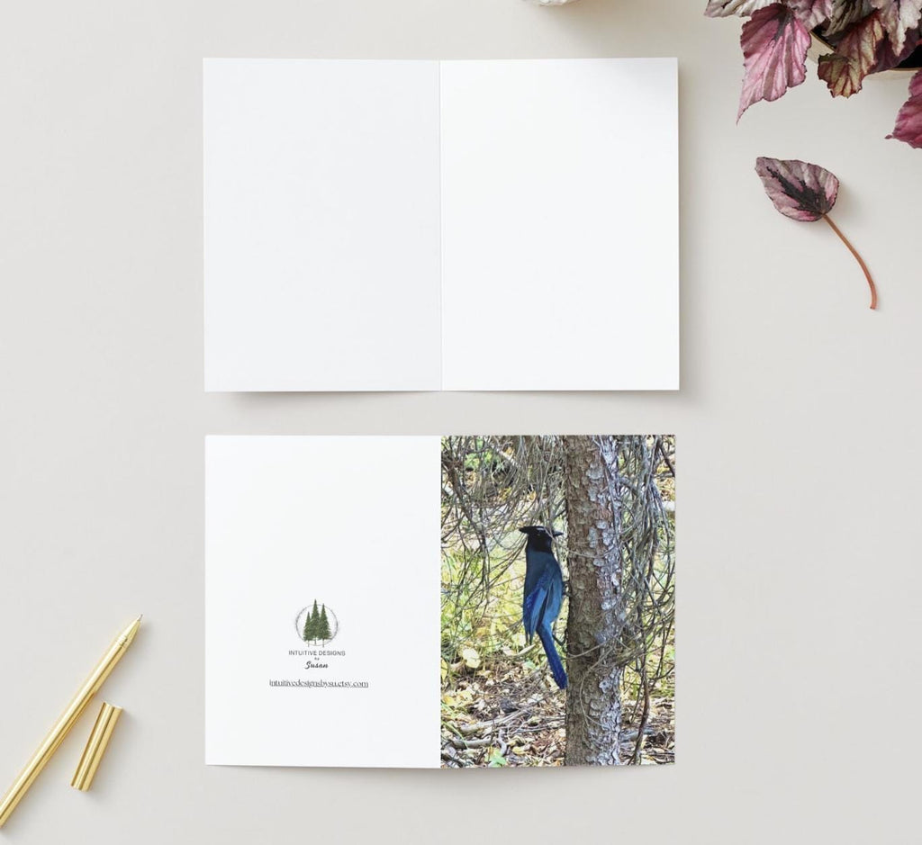 Rocky Mountain Blue Bird notecards