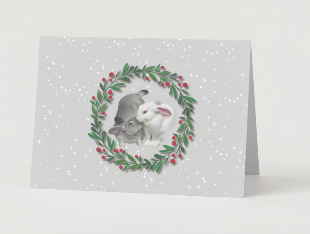 Bunny friends cuddly Christmas