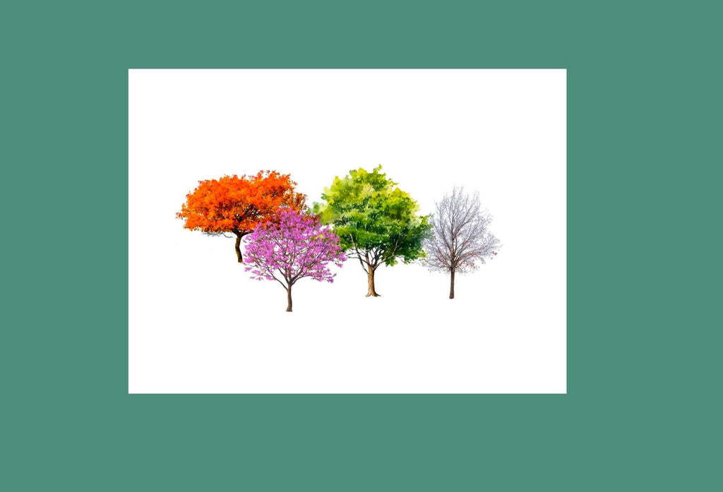 Through the Seasons Anniversary card