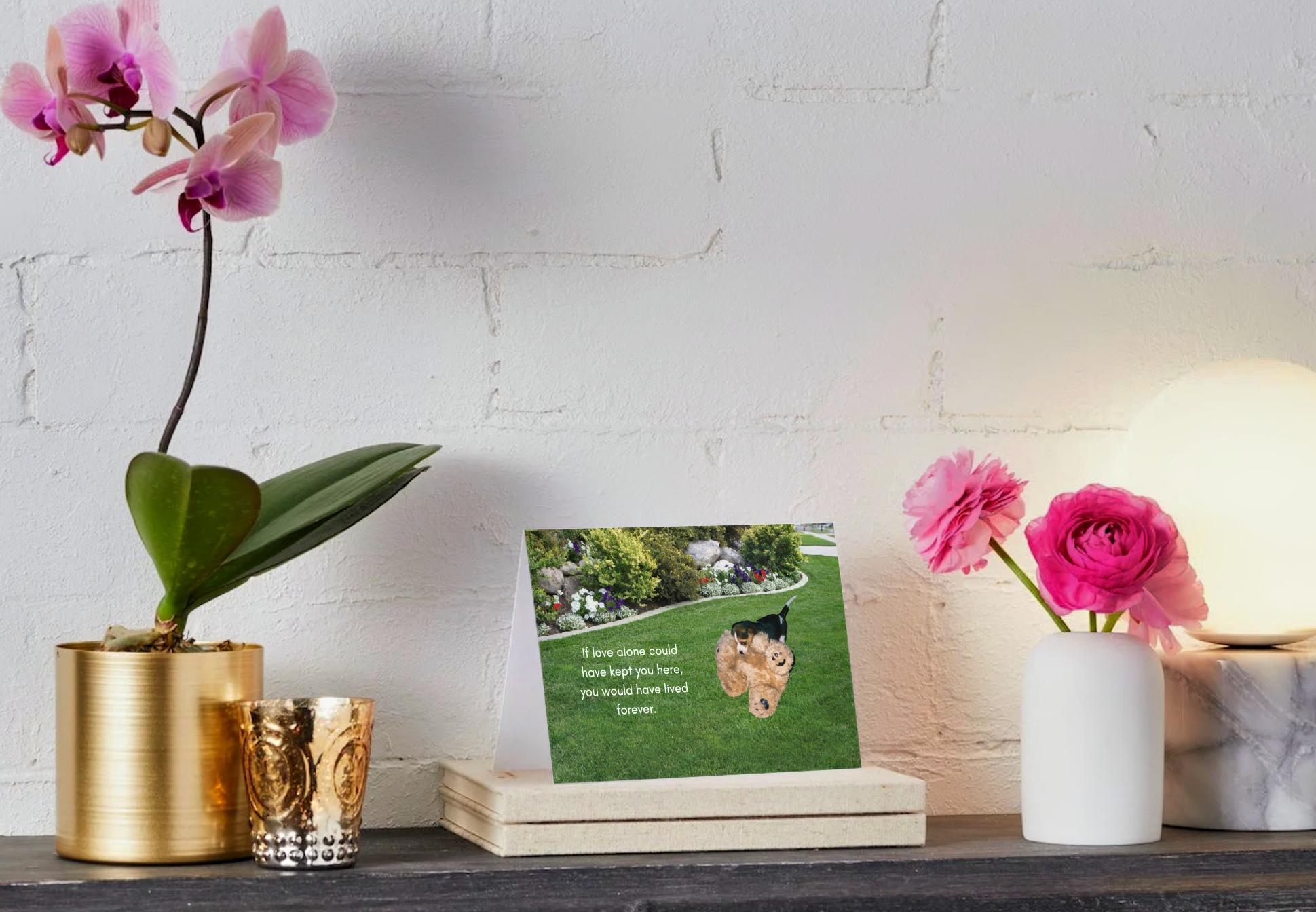 If Love Alone Could Have Kept You Here - Grieving the loss of a special pet