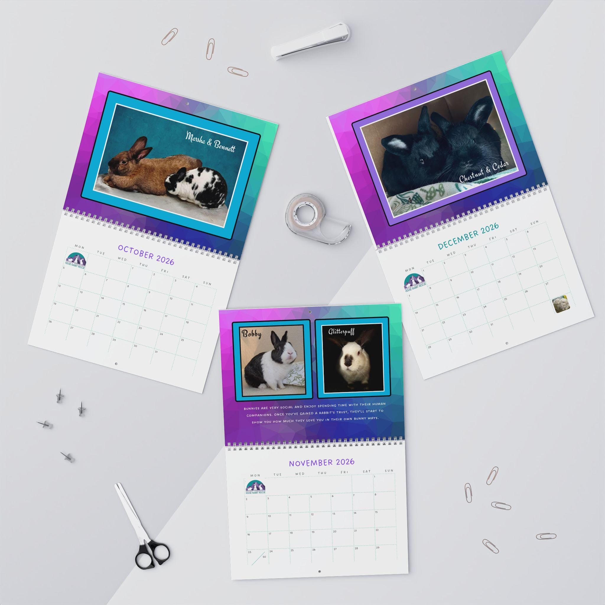 Real Bunnies 2026 Wall Calendar: Photos of Rescue Bunnies in their environment.