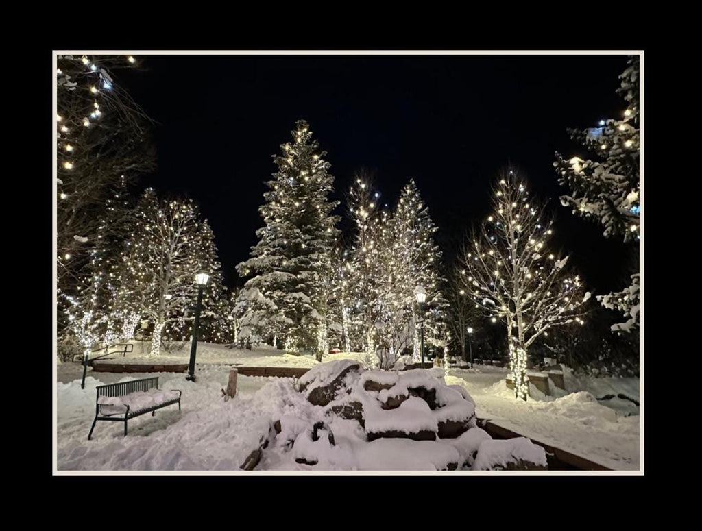 Estes Park, Colorado Winter scene notecards
