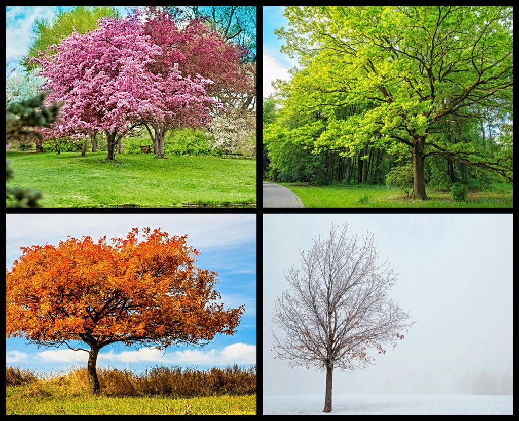 Through the Seasons Anniversary card