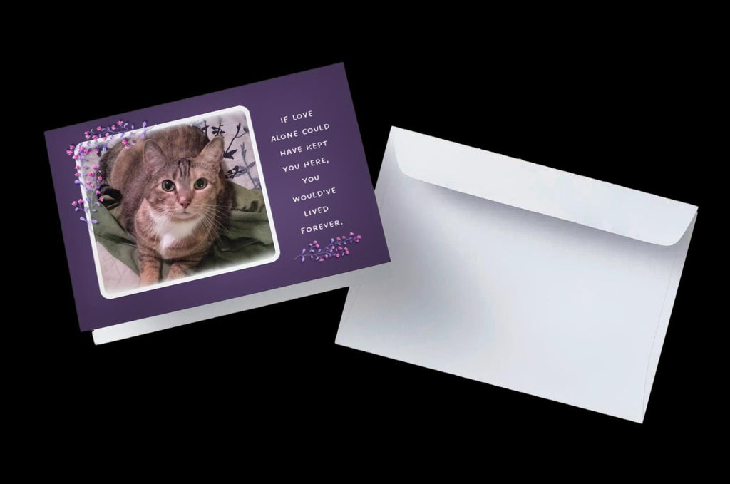 If love alone could have kept you alive - loss of cat sympathy card