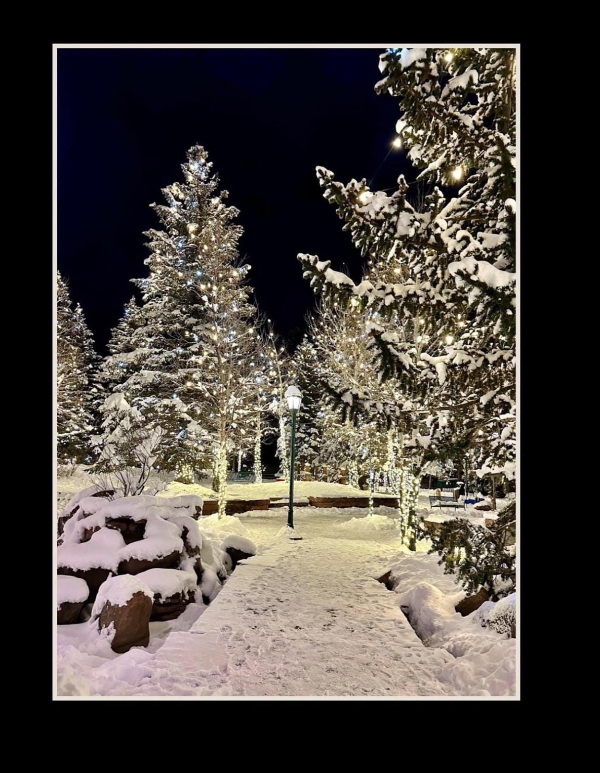 Estes Park, Colorado Winter scene notecards