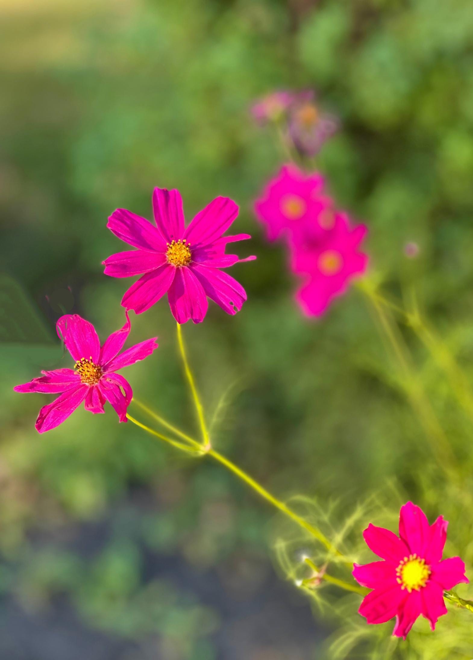 Sending Healing Thoughts